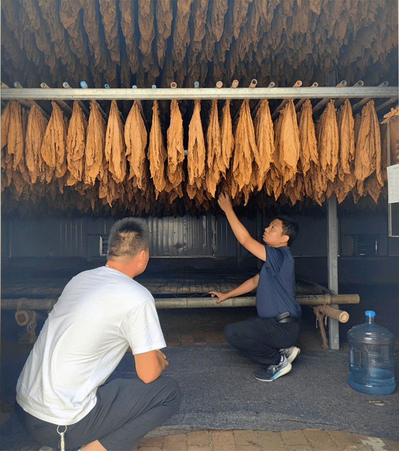 微信圖片_20230222110530.png 微信圖片_20230222110530.png